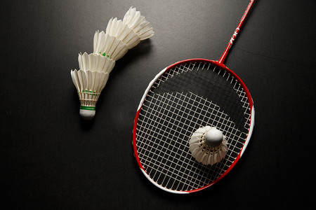 的光辉成就 的光辉成就