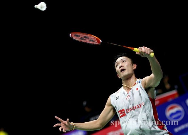 成为队长象 成为队长象