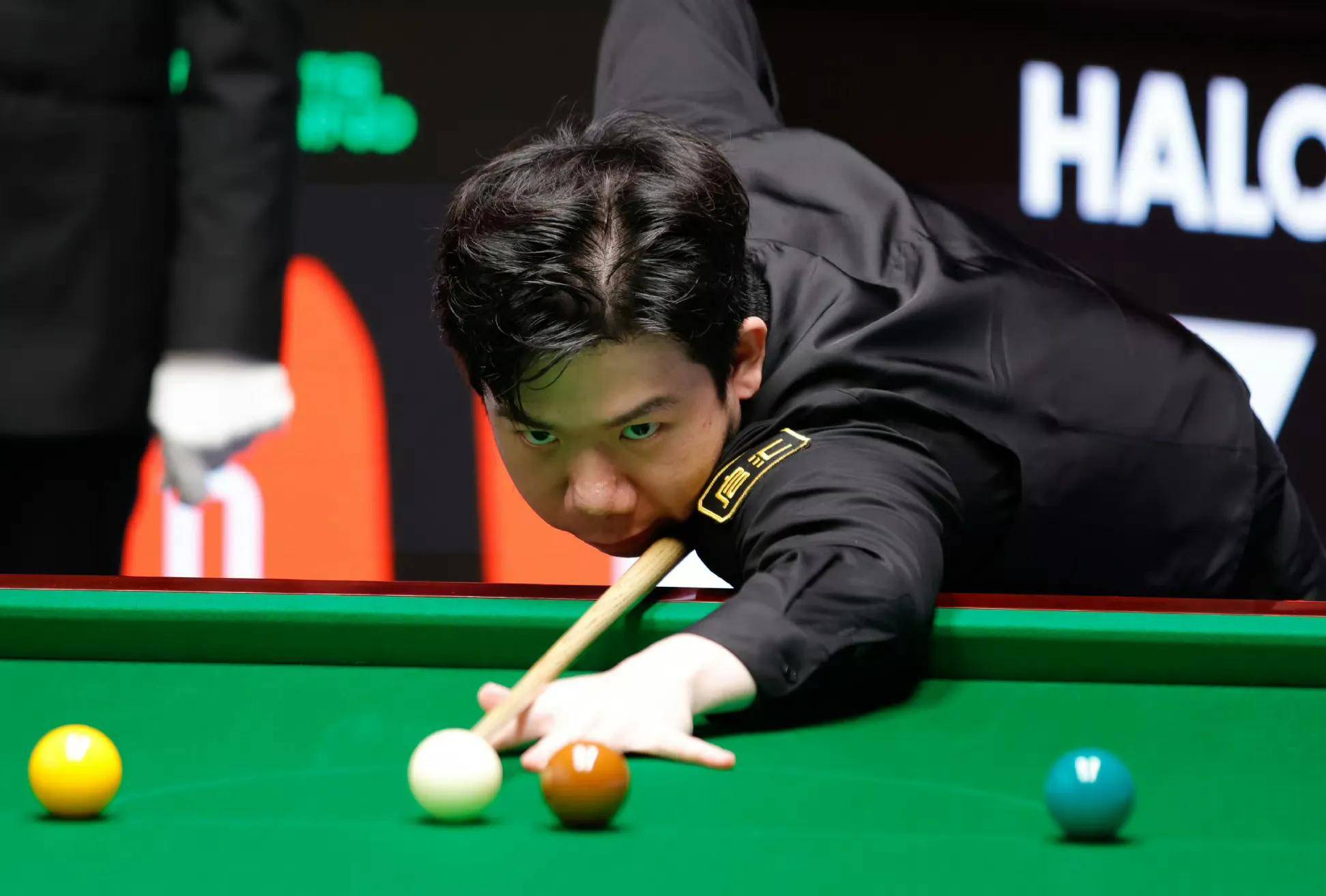 可以参照的 可以参照的